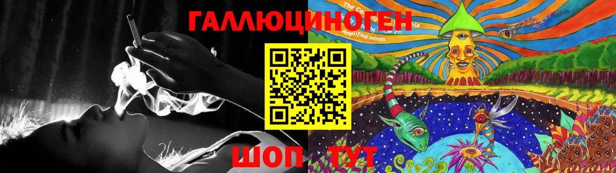 Псилоцибиновые грибы Psilocybe  Вход с VPN  Белогорск 